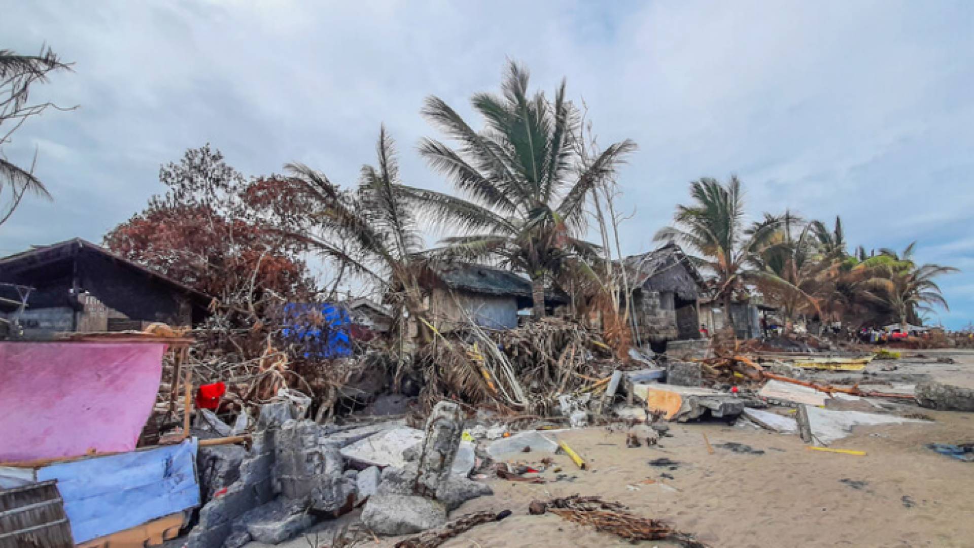 دمار خلفه إعصار "ميجي"