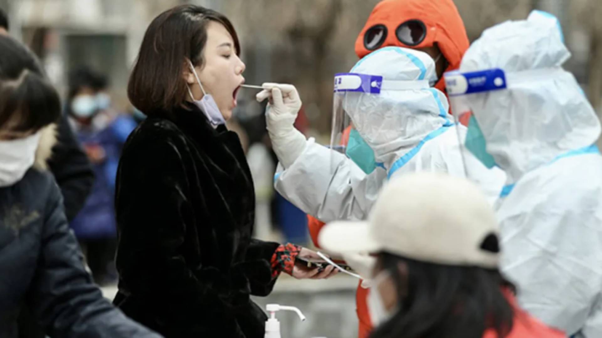 فرق التقصي الوبائي - أرشيفية