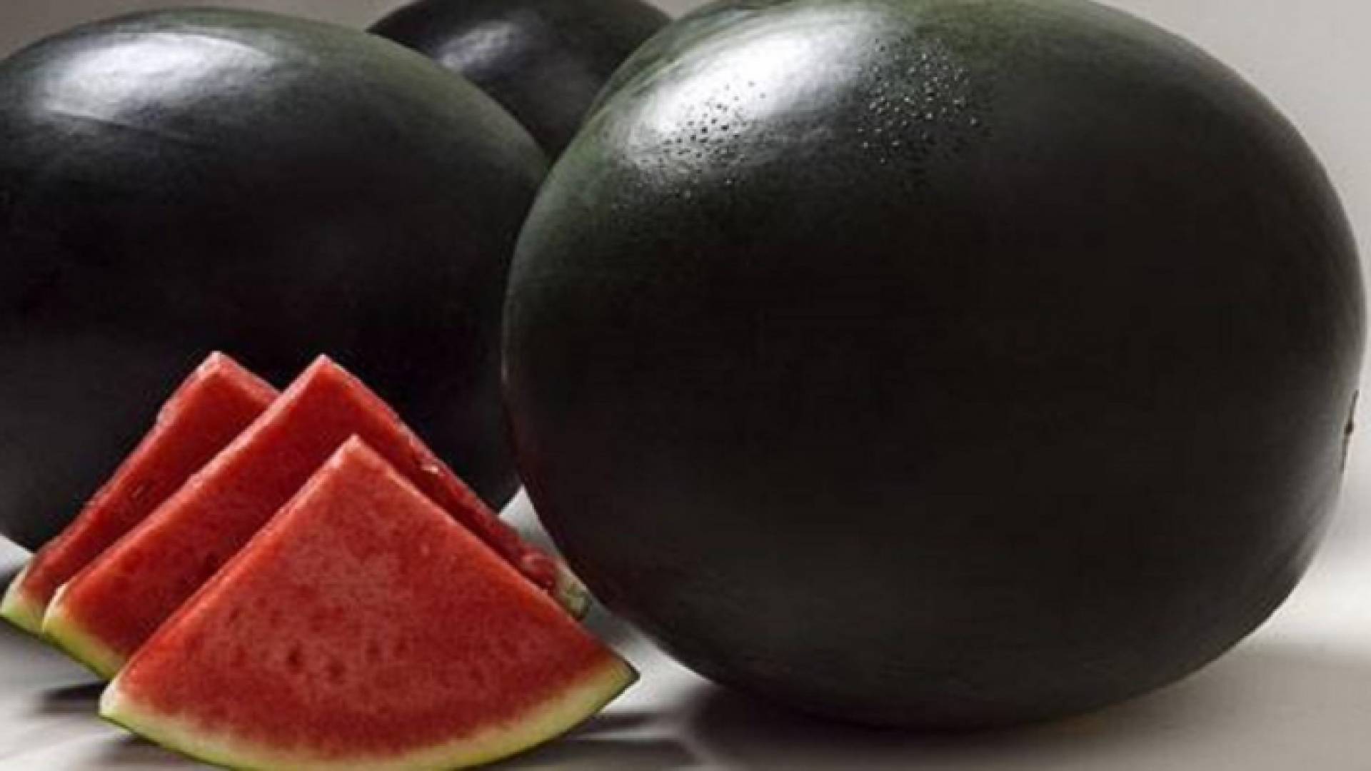 البطيخ الأسود