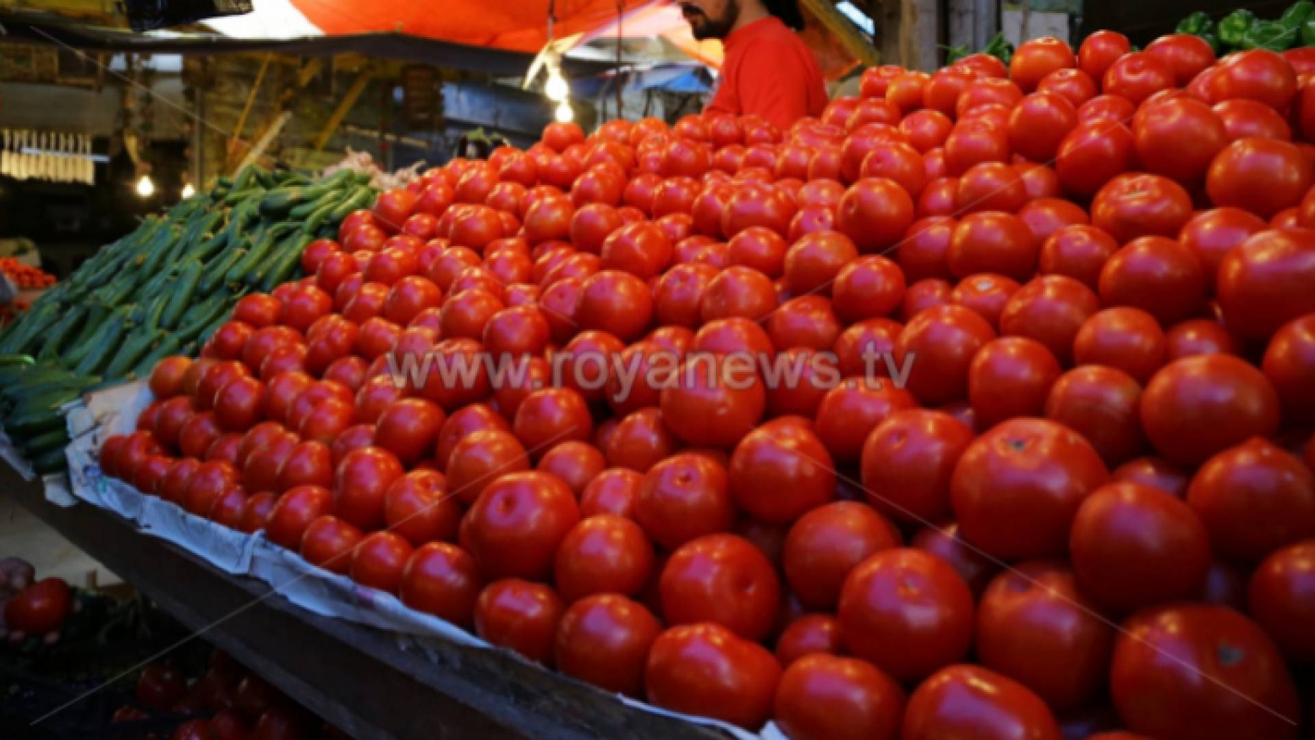 بندورة معروضة في المحال