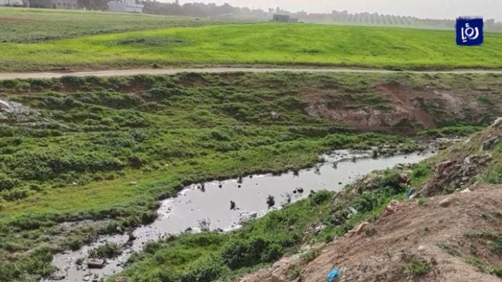 فيضان الصرف الصحي في وادي الشومر مشكلة تؤرق السكان