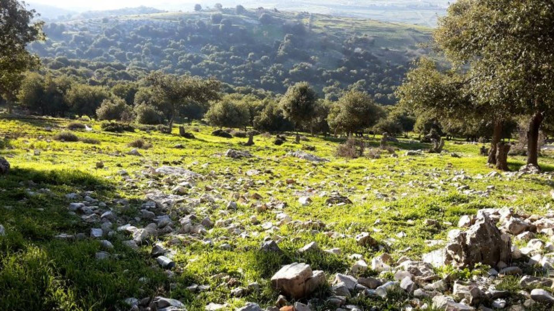 أجواء مشمسة وربيعية