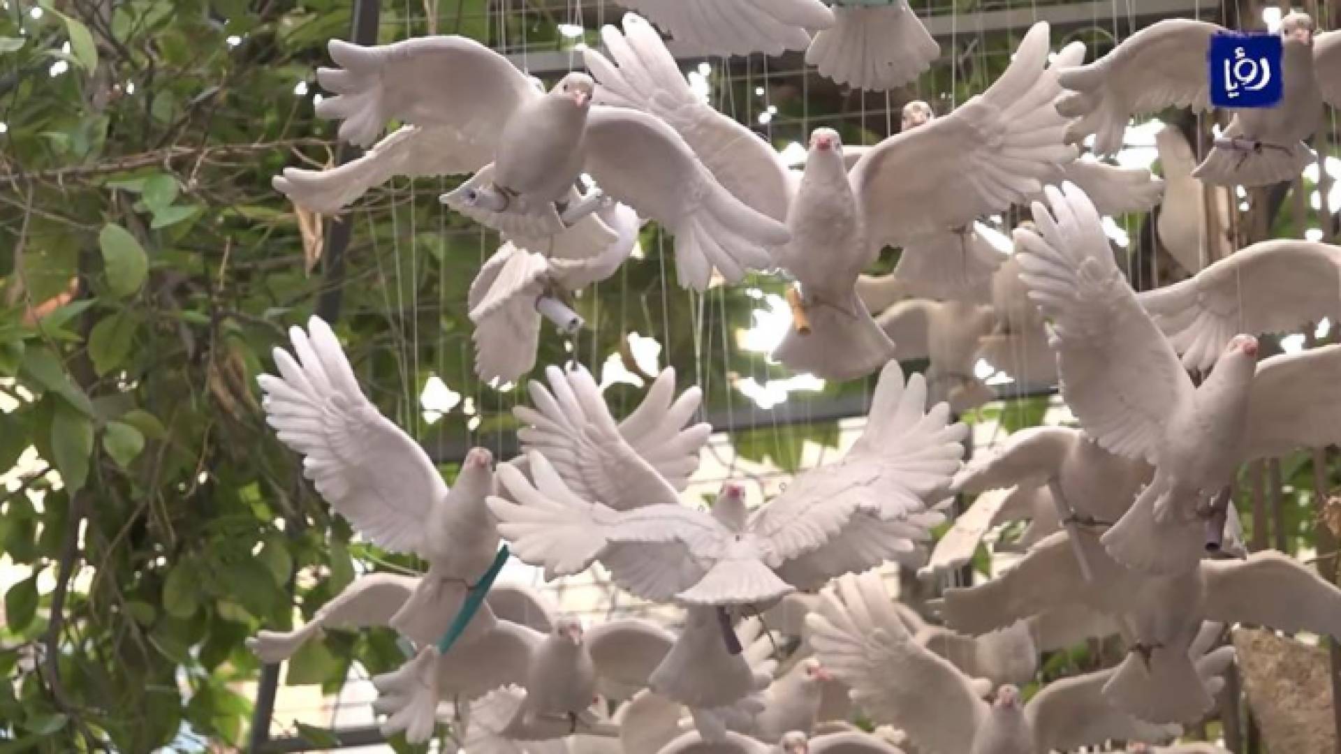 15 ألف حمامة خزفية تختزل أحلام السوريين في معرض كان ياما كان