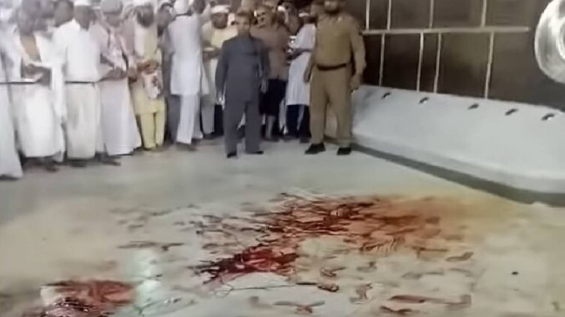 صورة ملتقطة من الفيديو