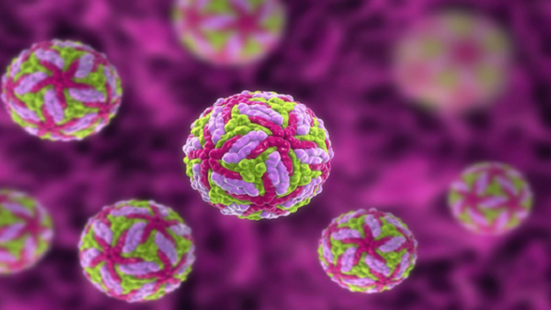 مقطع توضيحي لـ"الفيروس النادر"