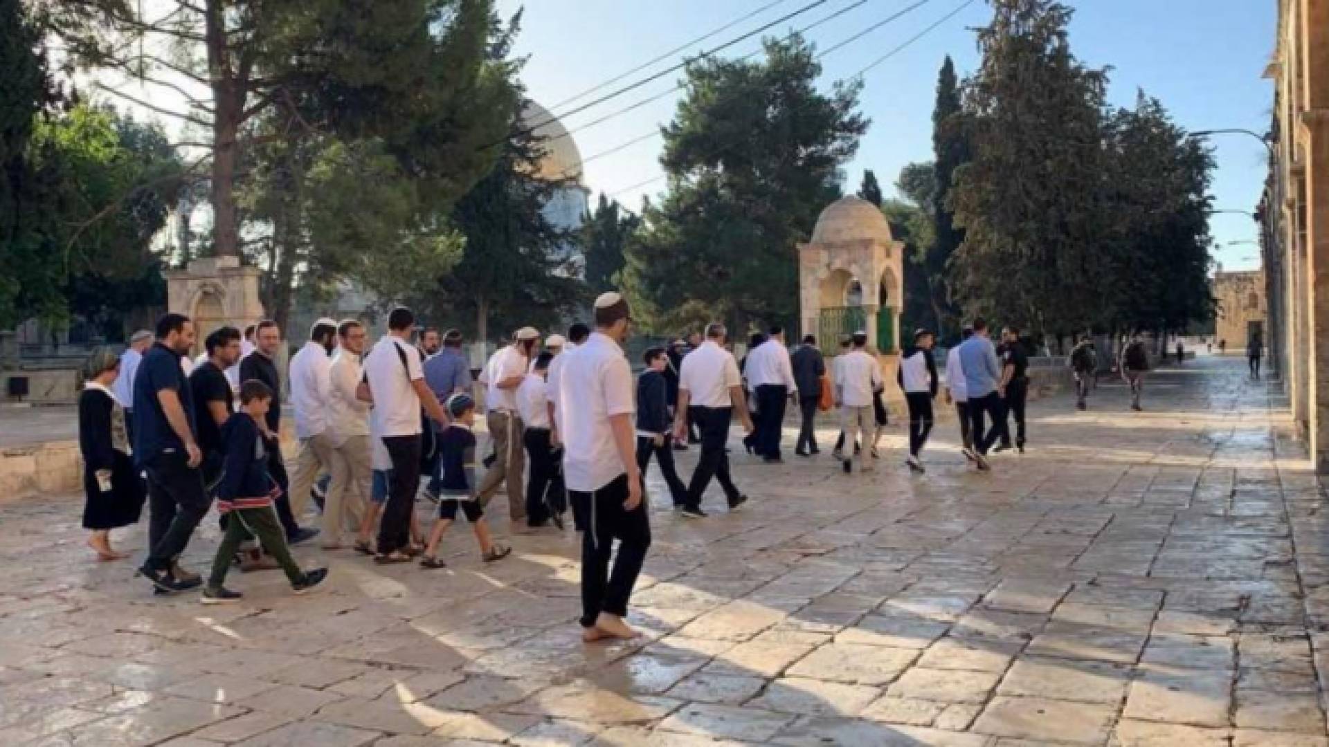 "منظمات الهيكل المزعوم" تدعو إلى اقتحام جديد للمسجد الأقصى