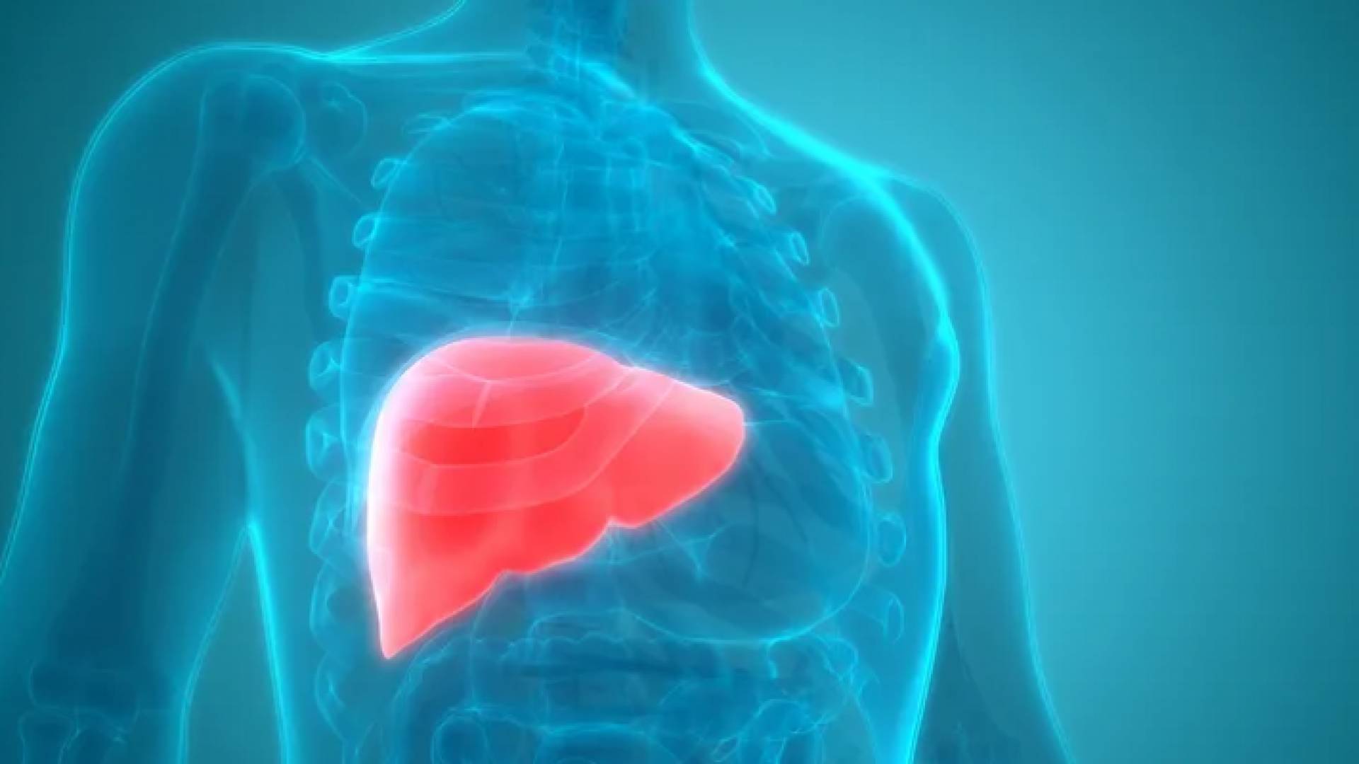 جسم الإنسان