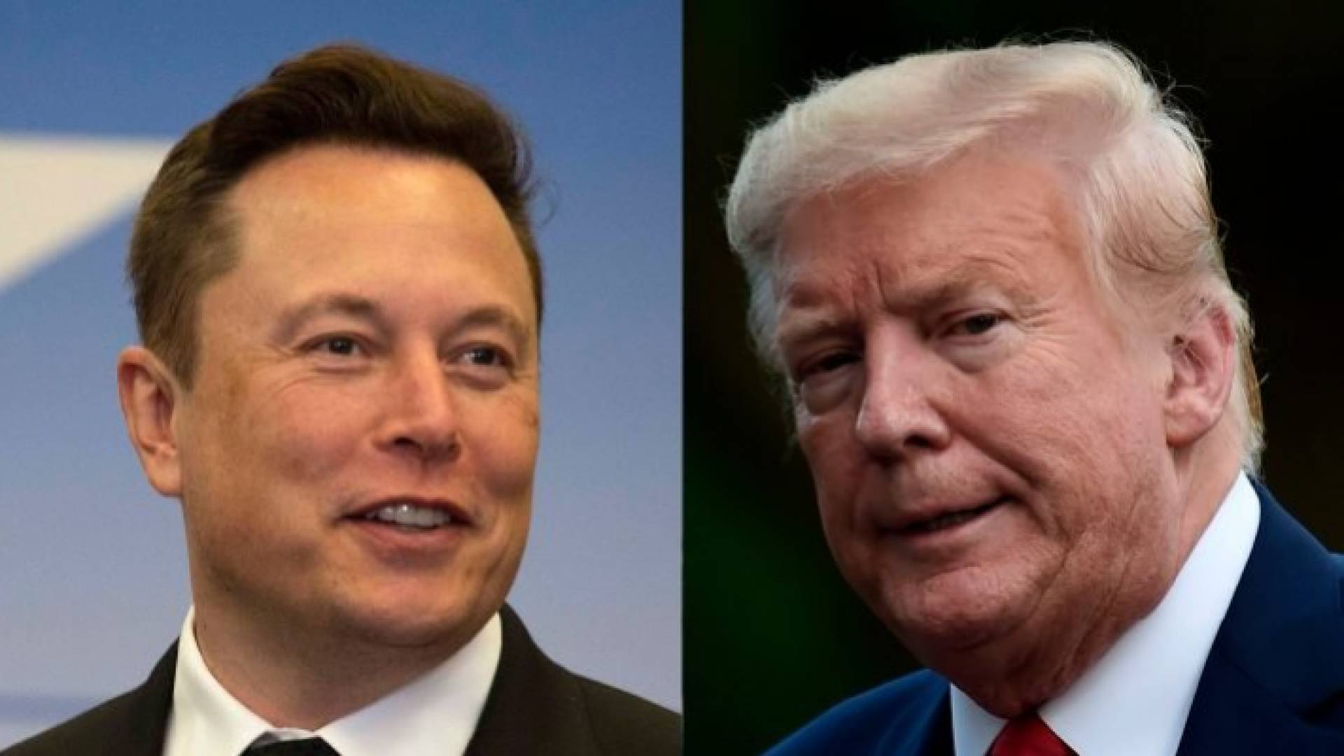 إيلون ماسك ودونالد ترمب