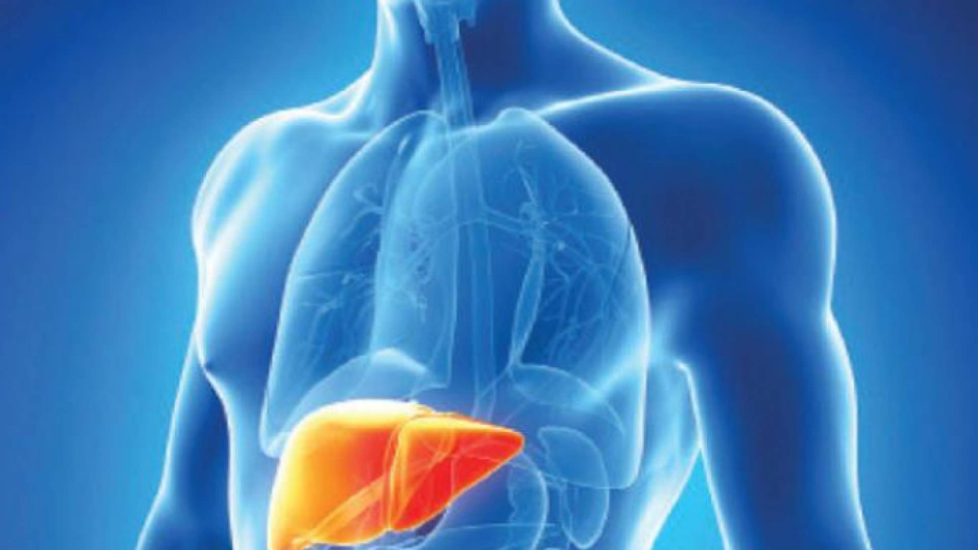 "الصحة العالمية": 169 حالة التهاب الكبد الحاد في 11 بلدا أوروبيا