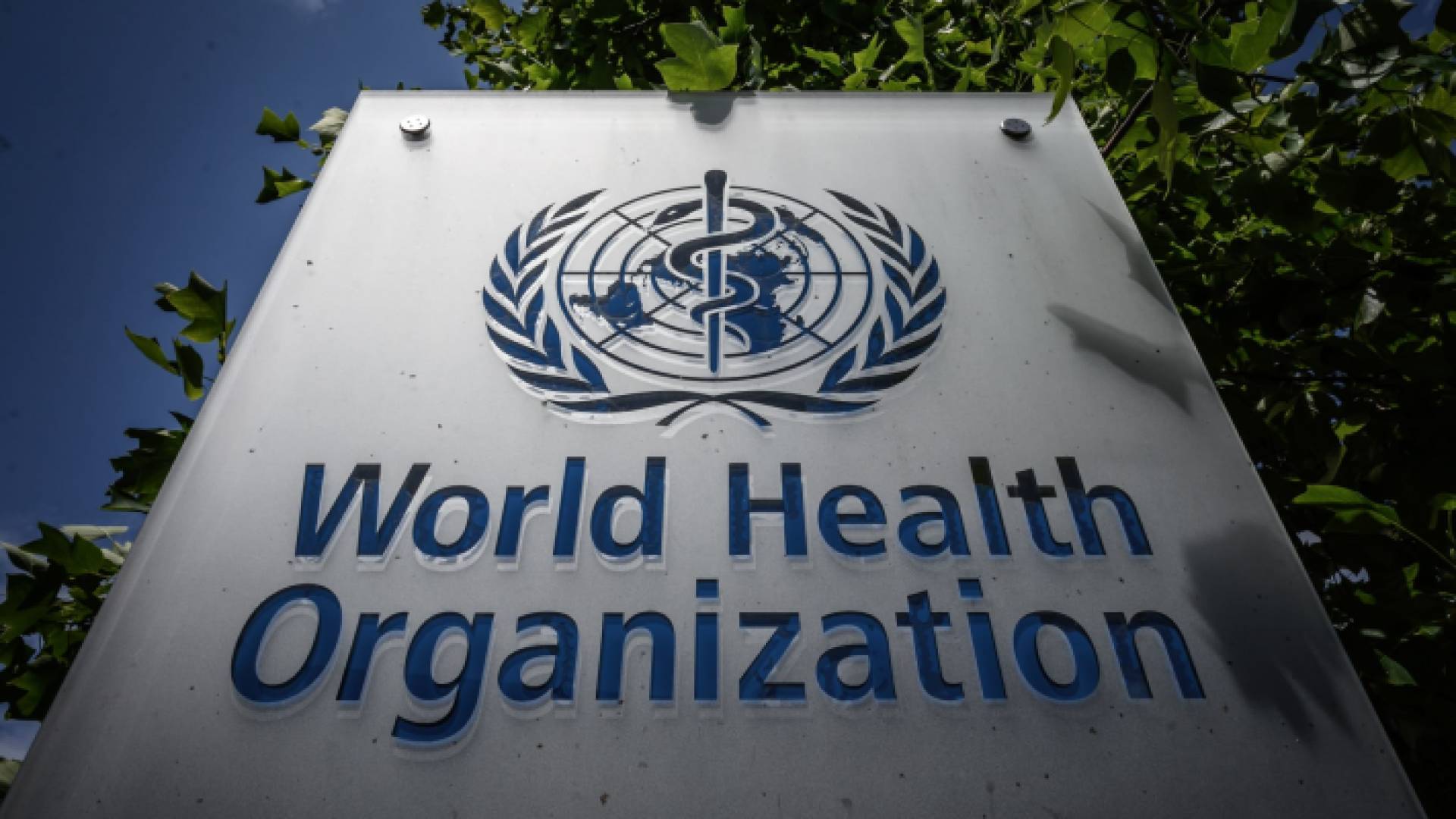 منظمة الصحة العالمية