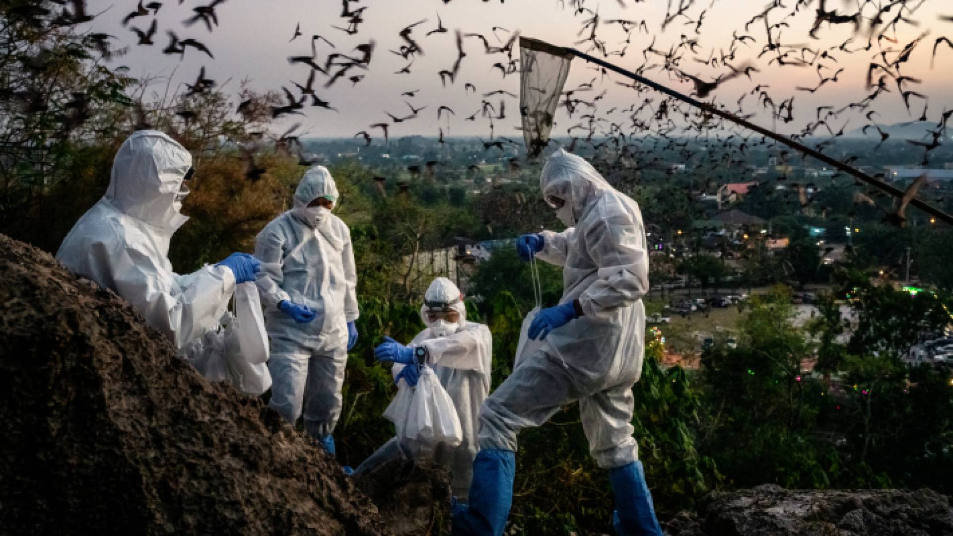 فرق التقصي الوبائي