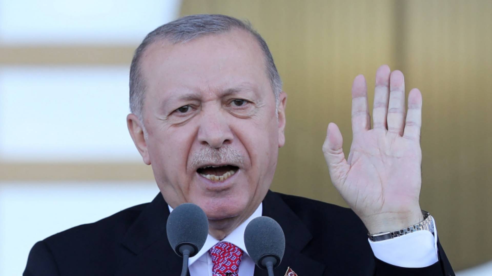 الرئيس التركي رجب طيب أردوغان