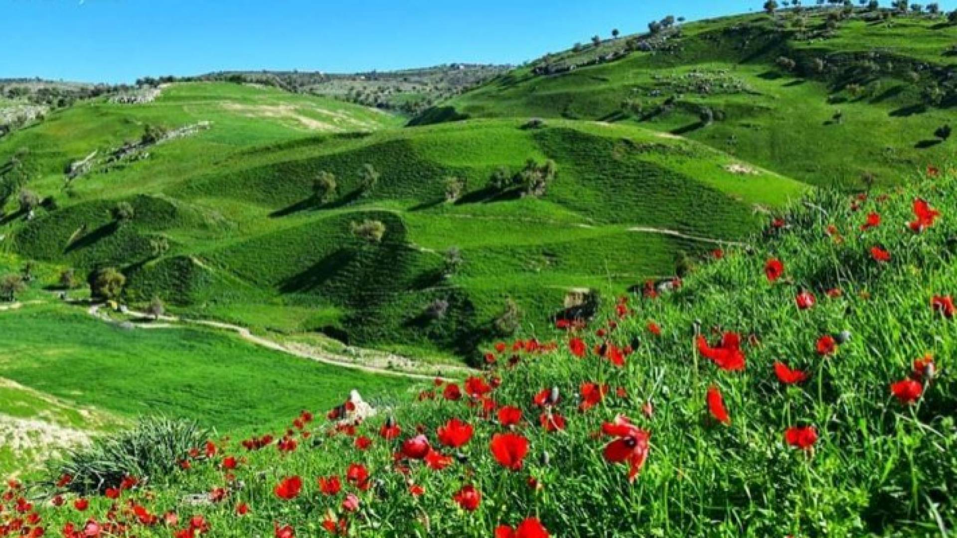 أجواء ربيعية في أول أيام عيد الفطر