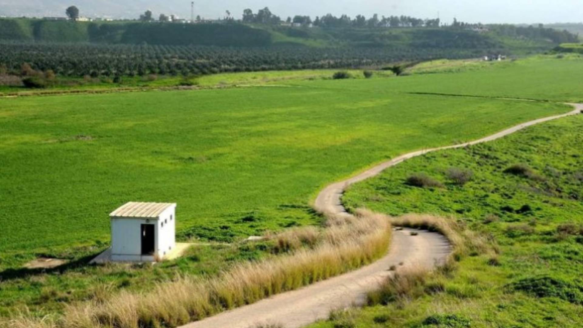 الاغوار - ارشيفية