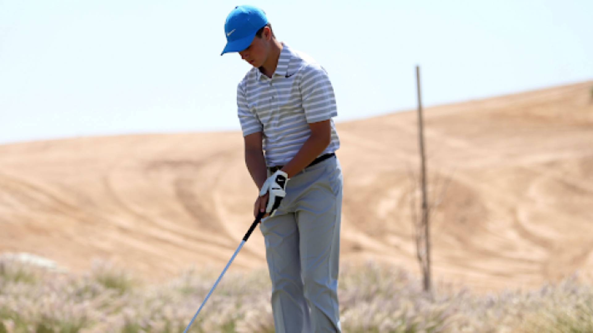 شيرجو الكردي