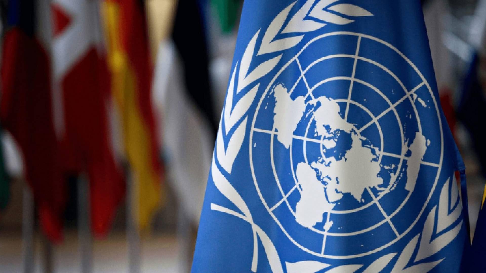 علم الأمم المتحدة