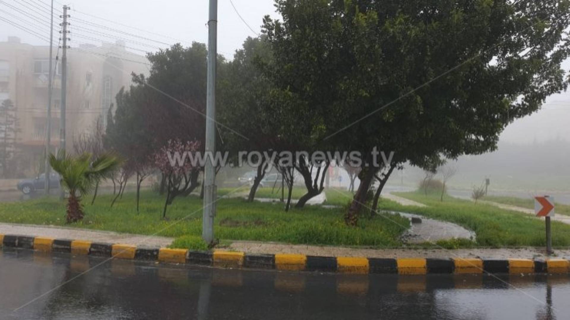 تساقط الأمطار في العاصمة عمان - أرشيفية