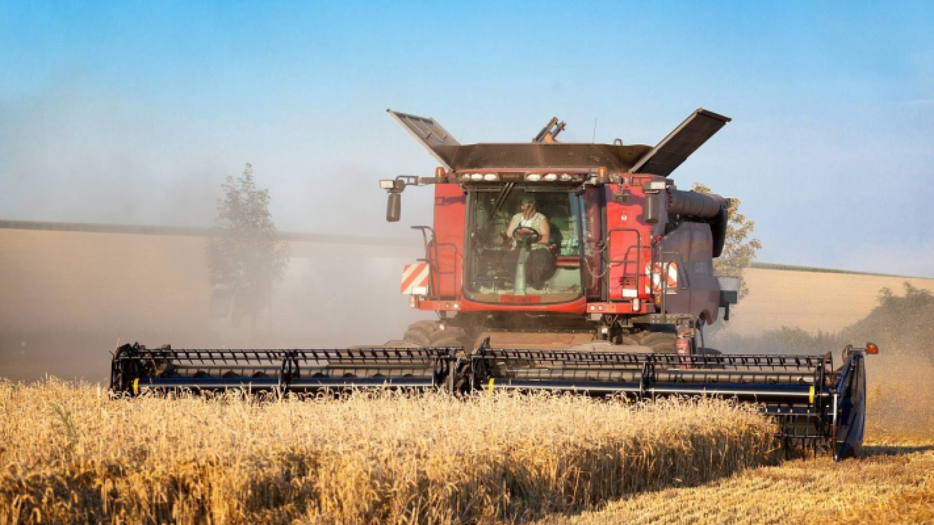 ماكينة حصاد - تعبيرية