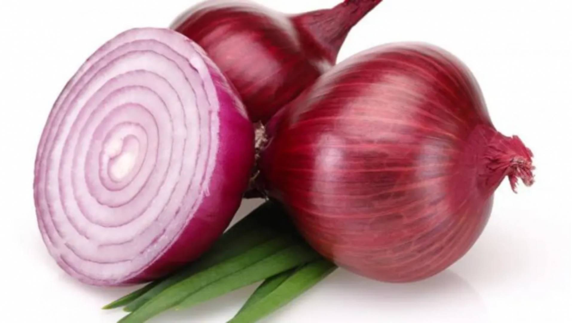 البصل - تعبيرية