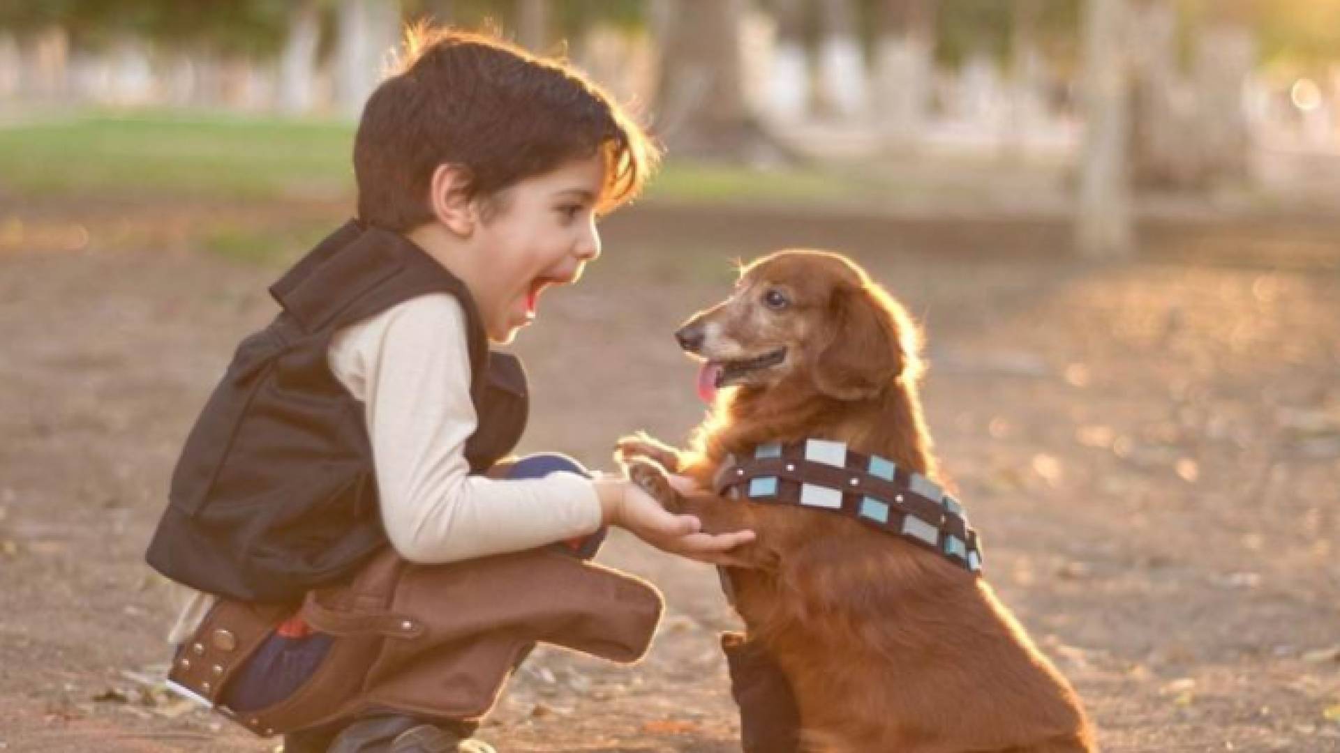 طفل يلهو مع كلب