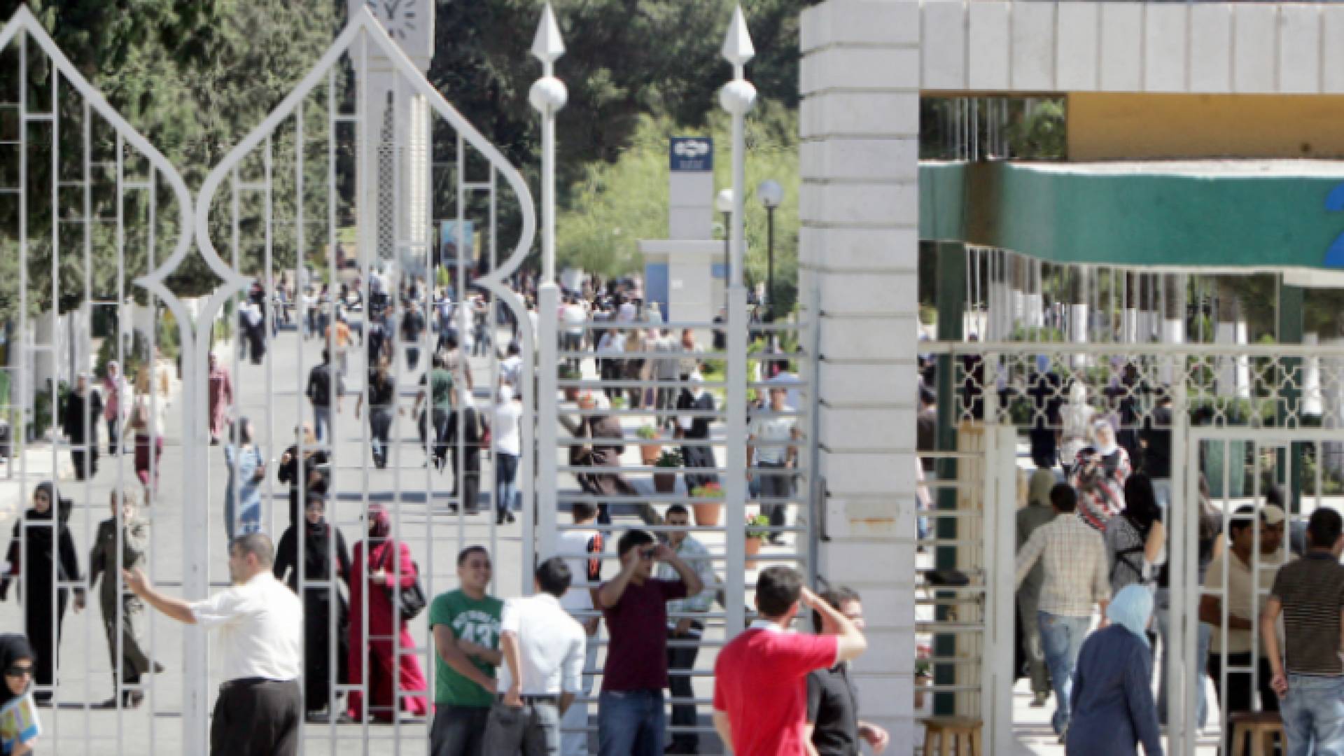 طلبة جامعات