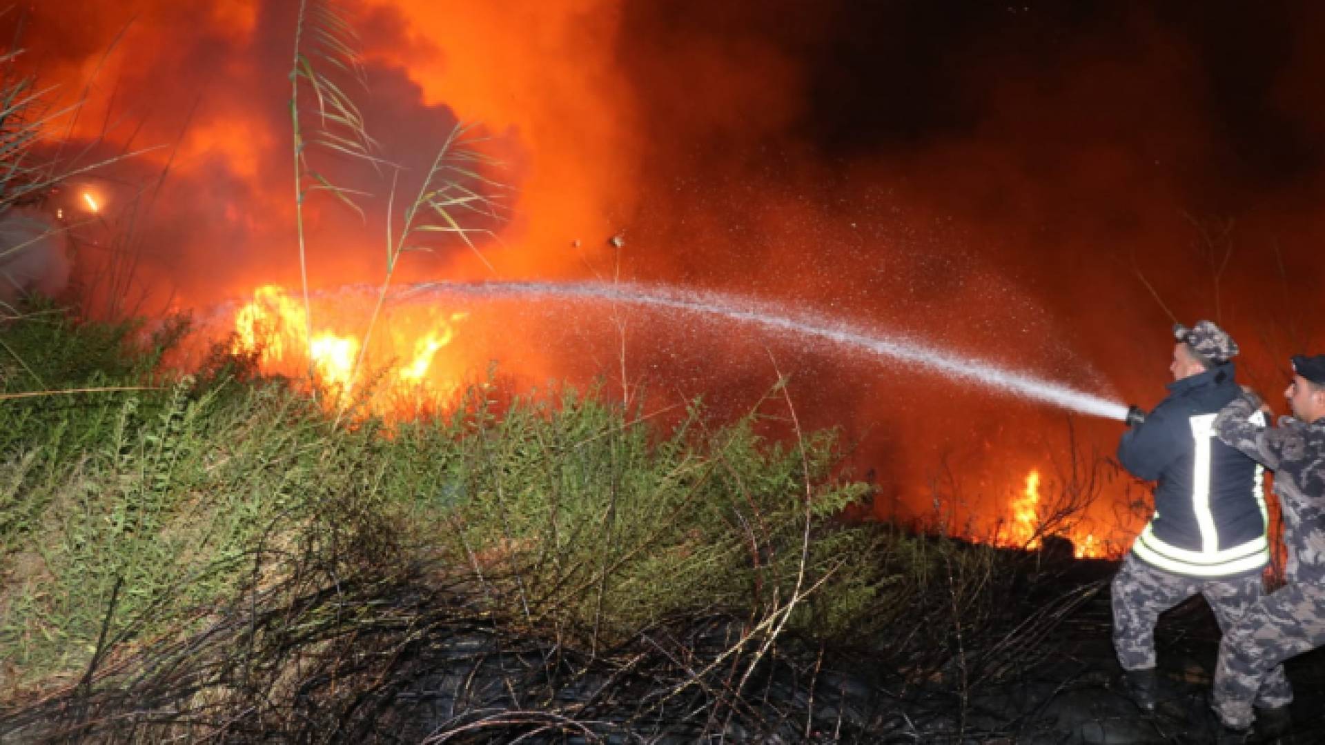 اخماد حريق أعشاب - ارشيفية