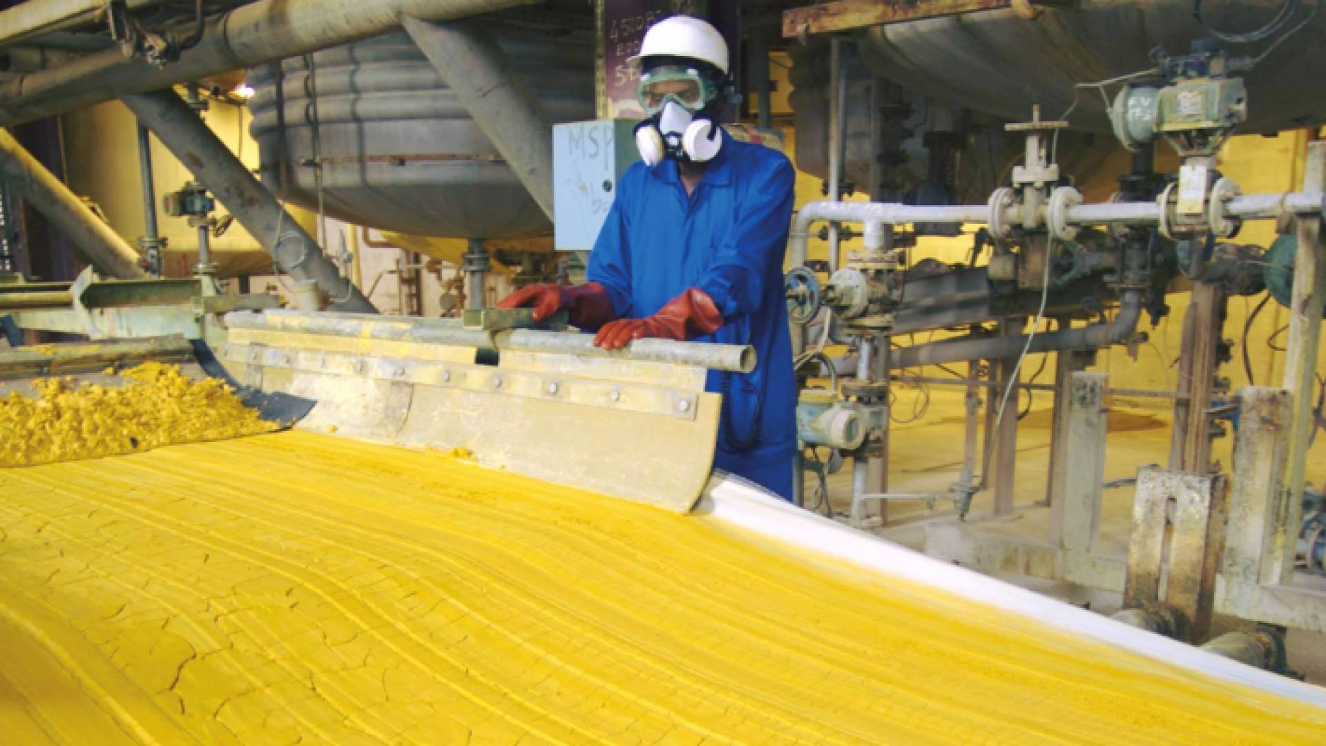 الكعكة الصفراء