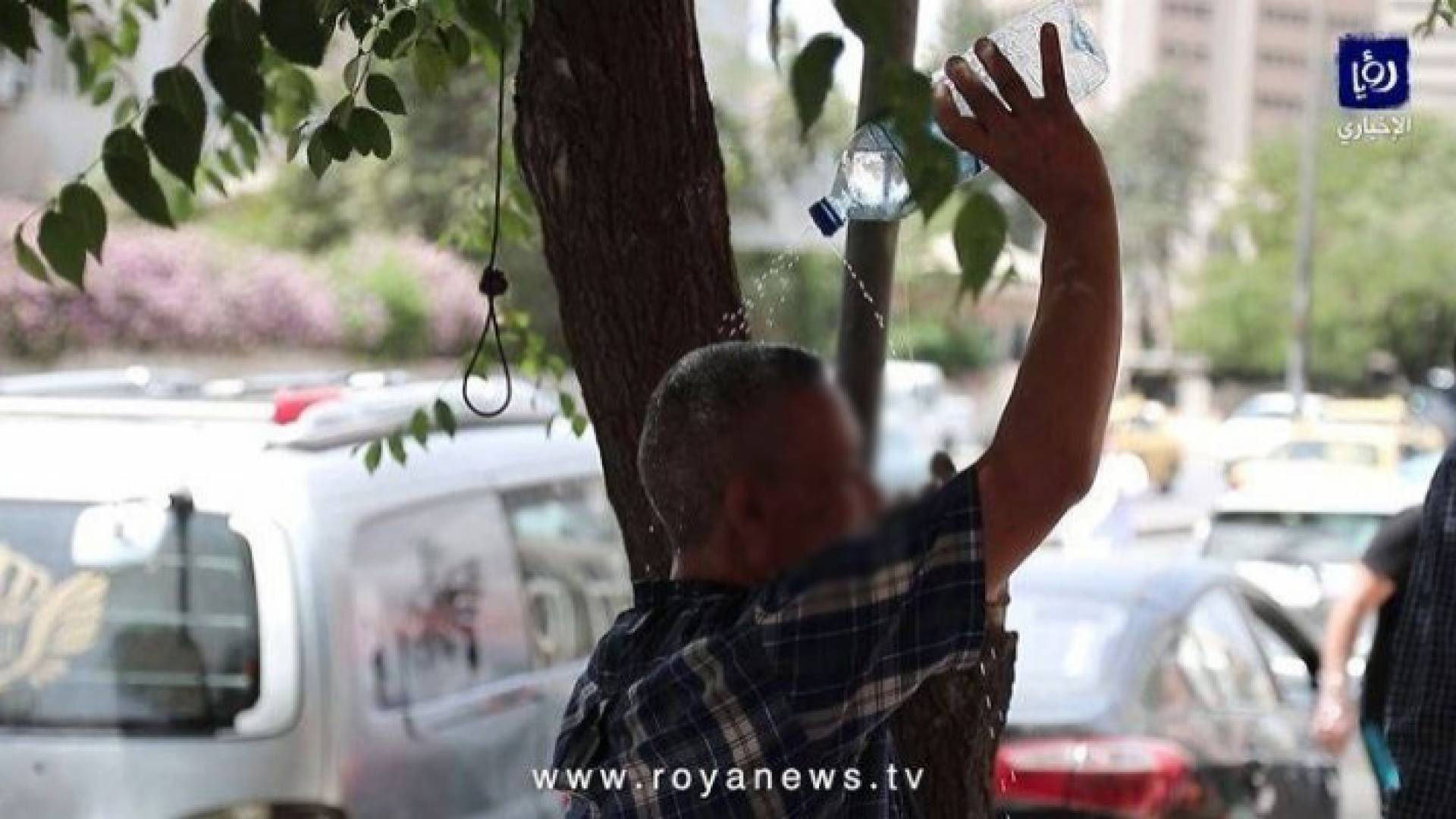 درجات الحرارة العُظمى حول مُنتصف الثلاثينيات