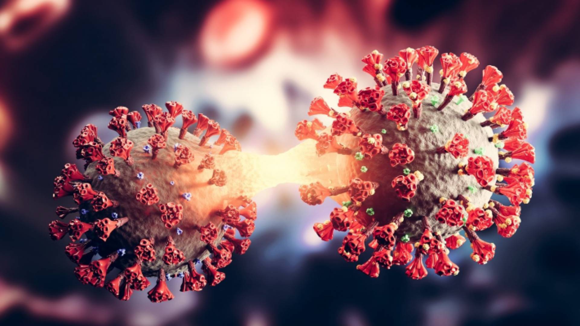 مقطع توضيحي لمتحور أوميكرون