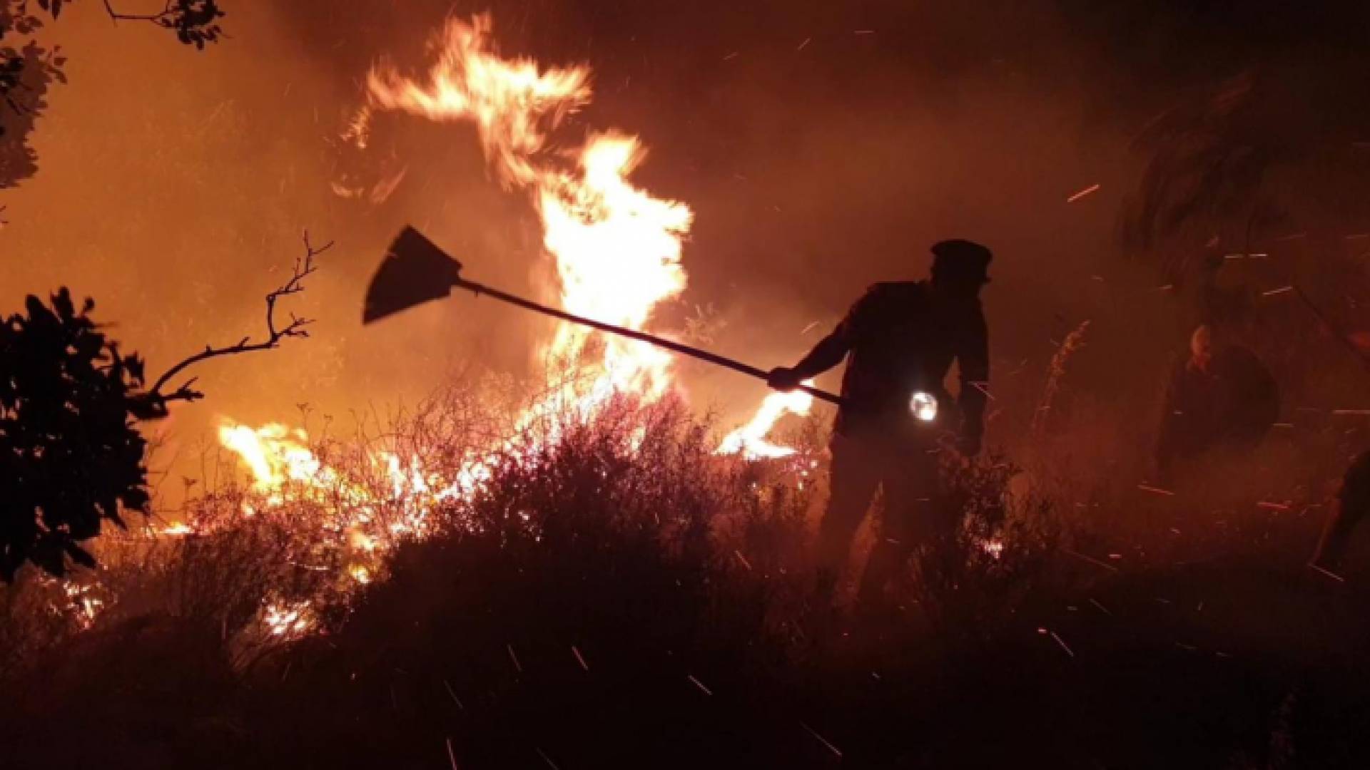 كوادر الدفاع المدني تحاول السيرطة على الحريق في أم قيس