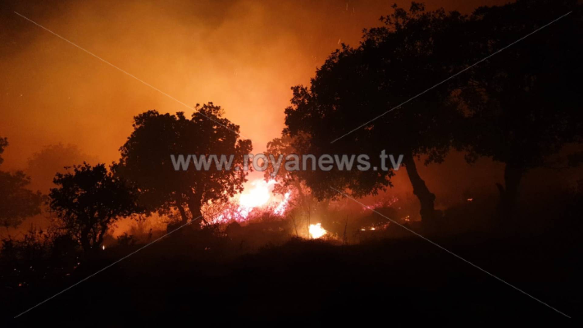 الصورة من الحريق