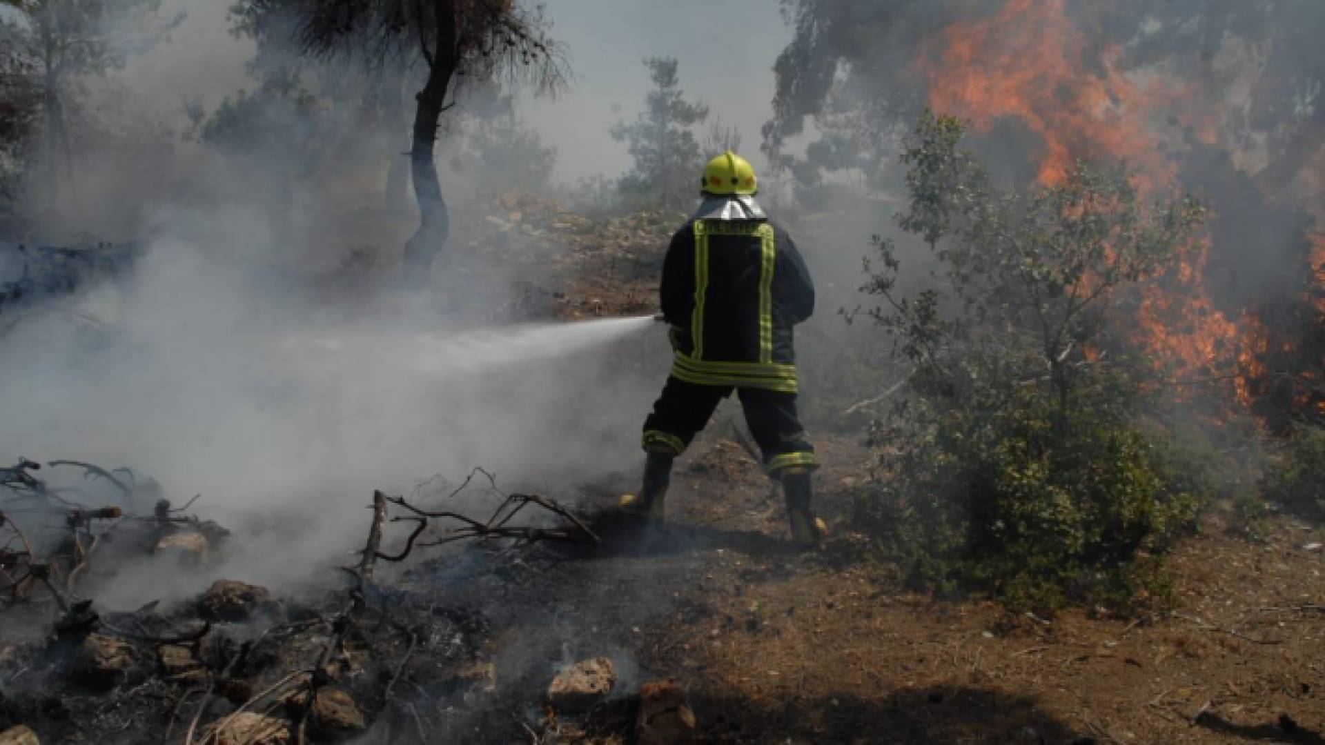 كوادر الدفاع المدني