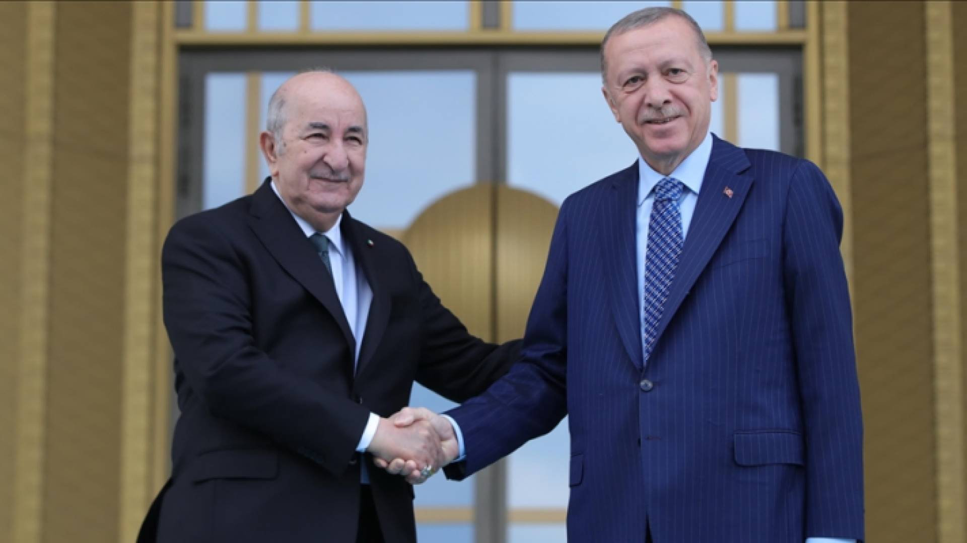 الرئيسان التركي رجب طيب أردوغان والجزائري عبد المجيد تبون