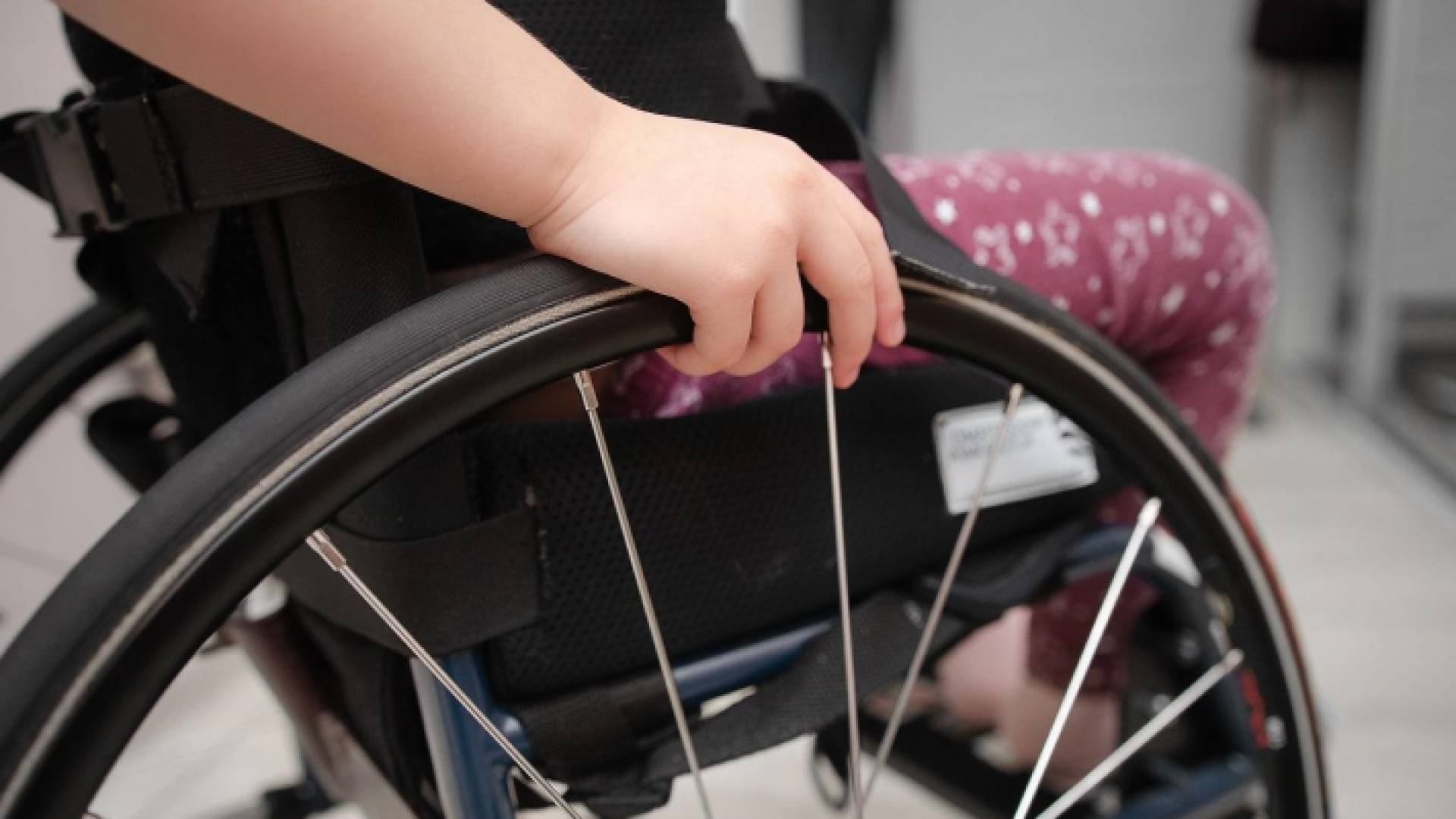 ذوو الإعاقة