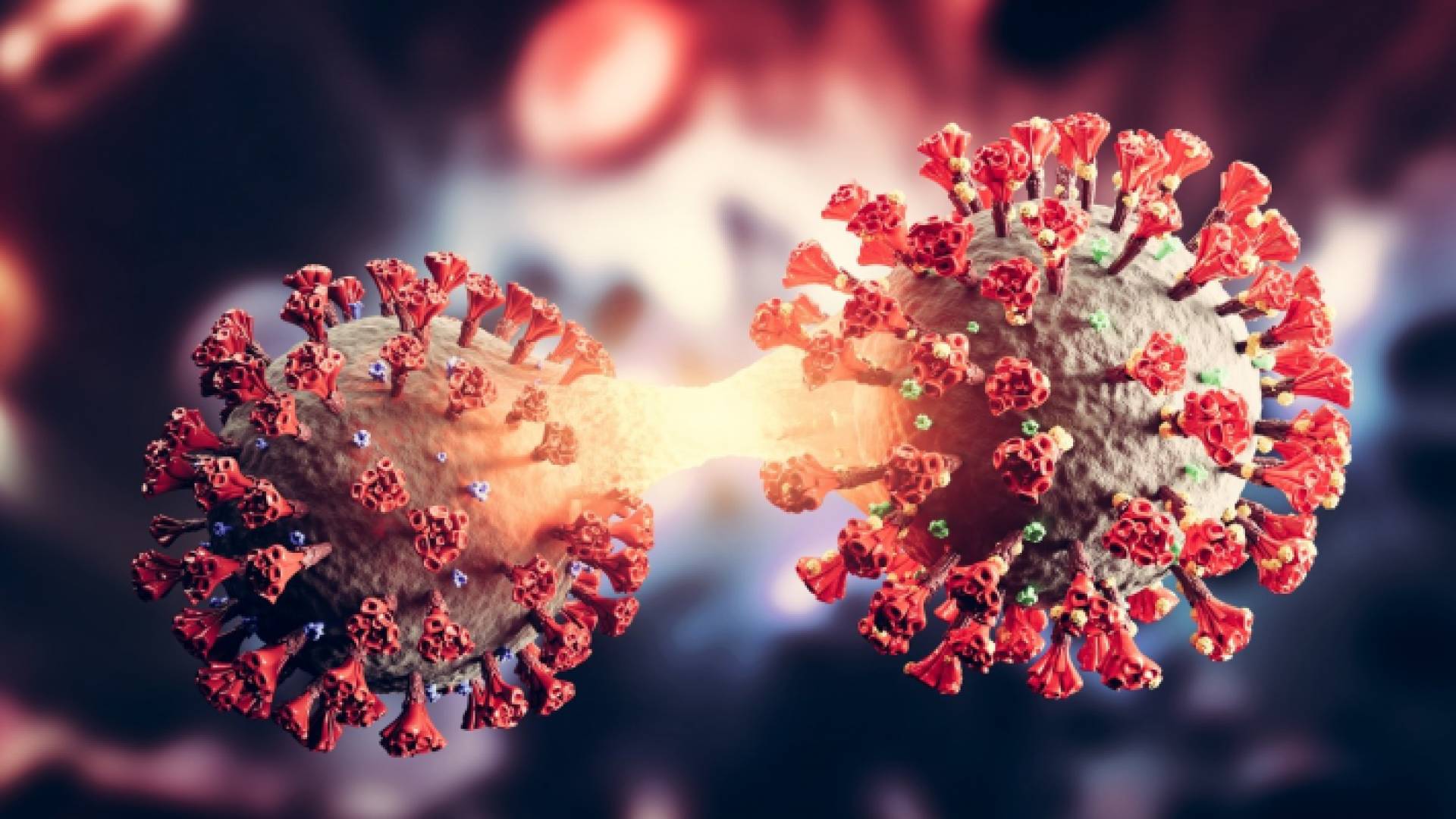 مقطع توضيحي لمتحور أوميكرون