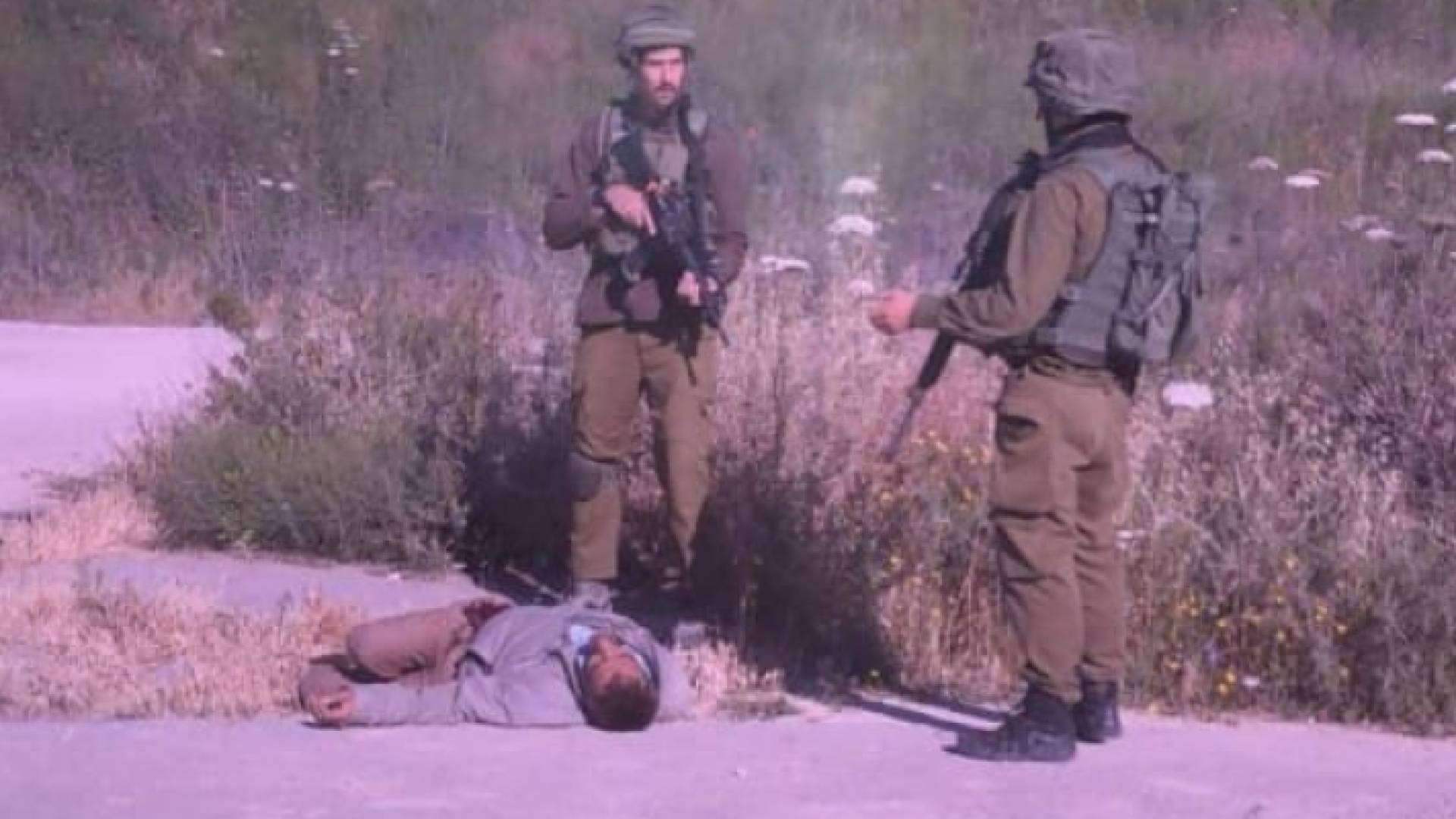 صورة متداولة