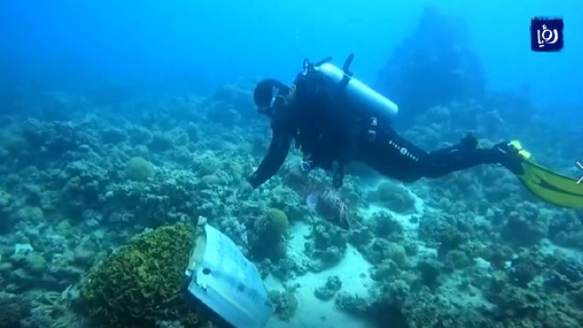 غواص ينظف خليج العقبة من المخلفات