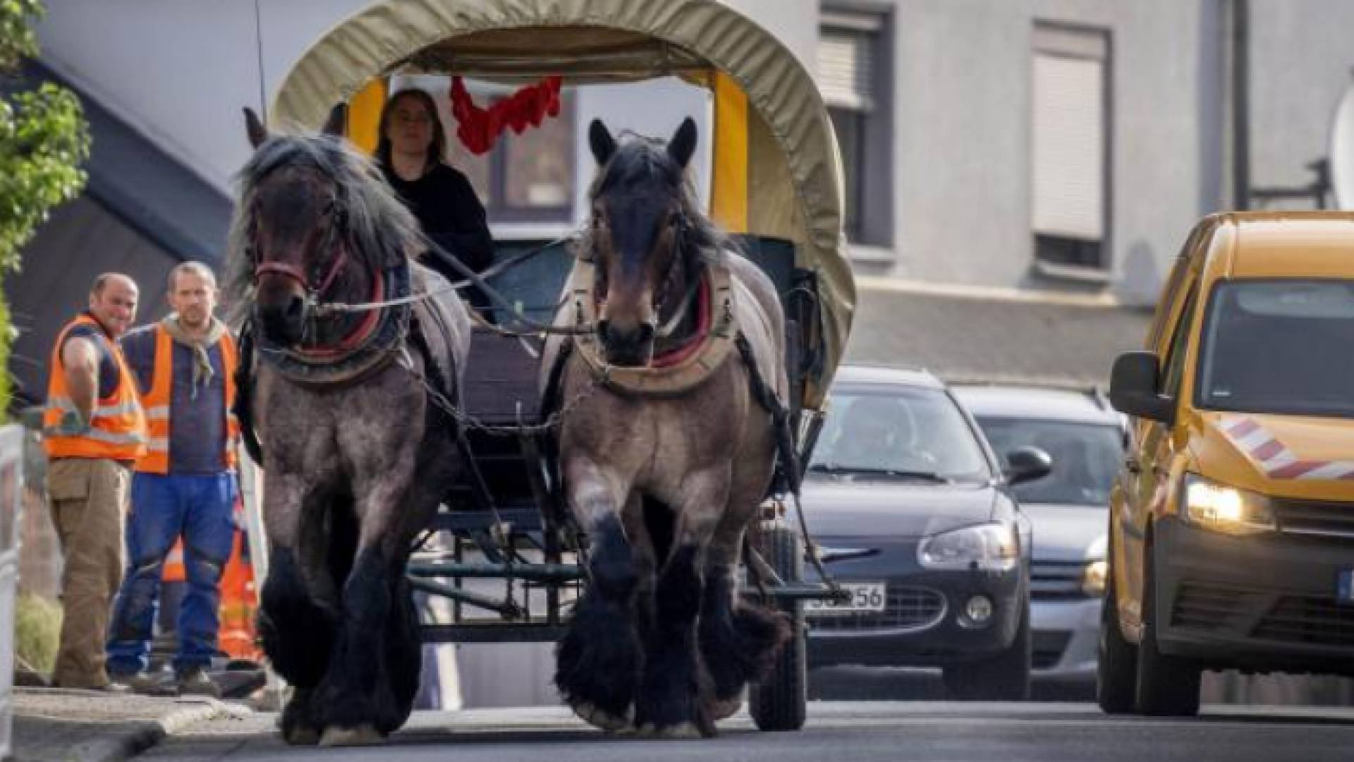 سيدة ألمانية تستبدل سيارتها بعربة خيول بسبب أزمة الطاقة