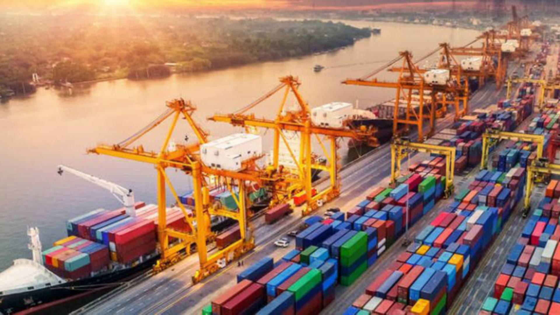 حاويات معدة للتصدير