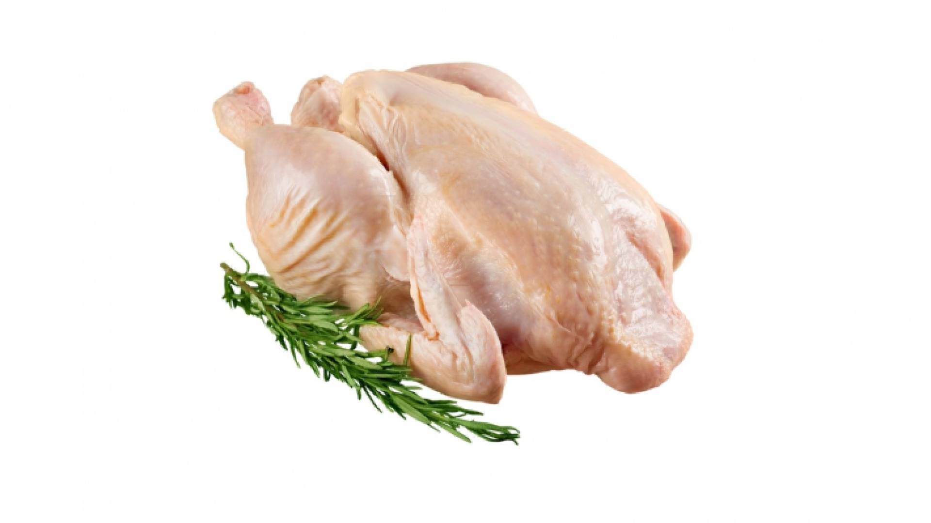 دجاجة مجمدة