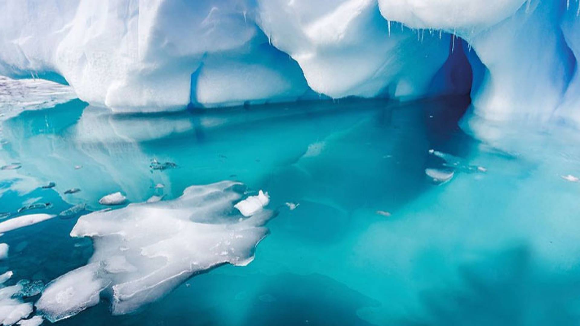 البكتيريا قادرة على إعادة بناء نفسها وتصديها للمضادات الحيوية