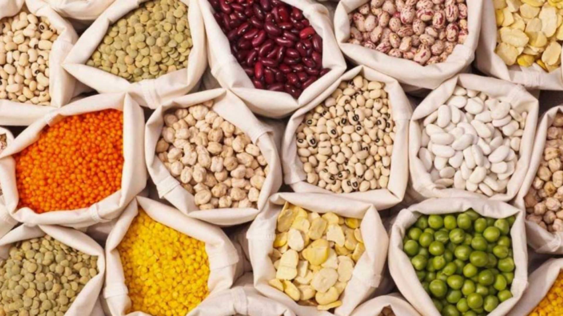 أصناف متعددة من البقوليات