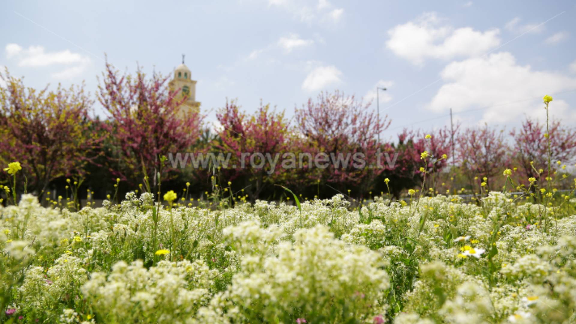 العاصمة عمان