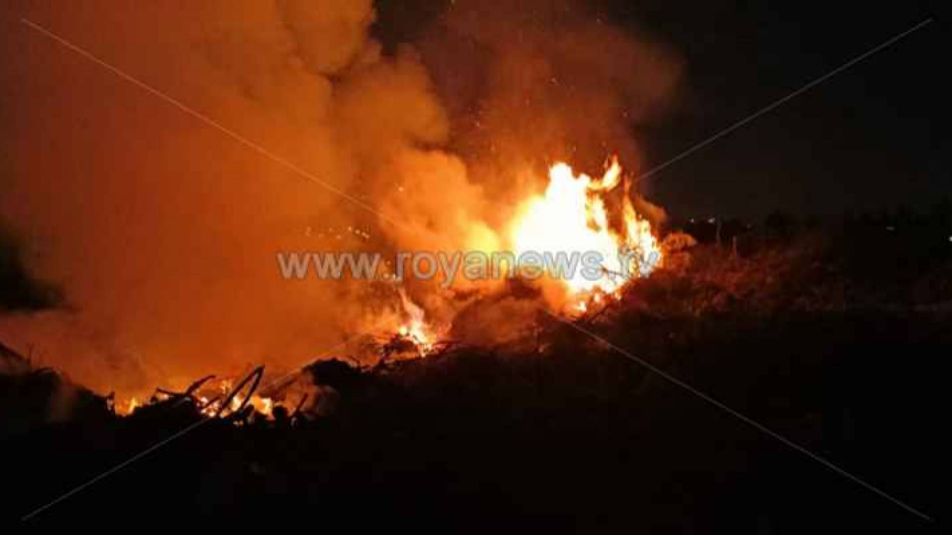 حريق أشجار - أرشيفية