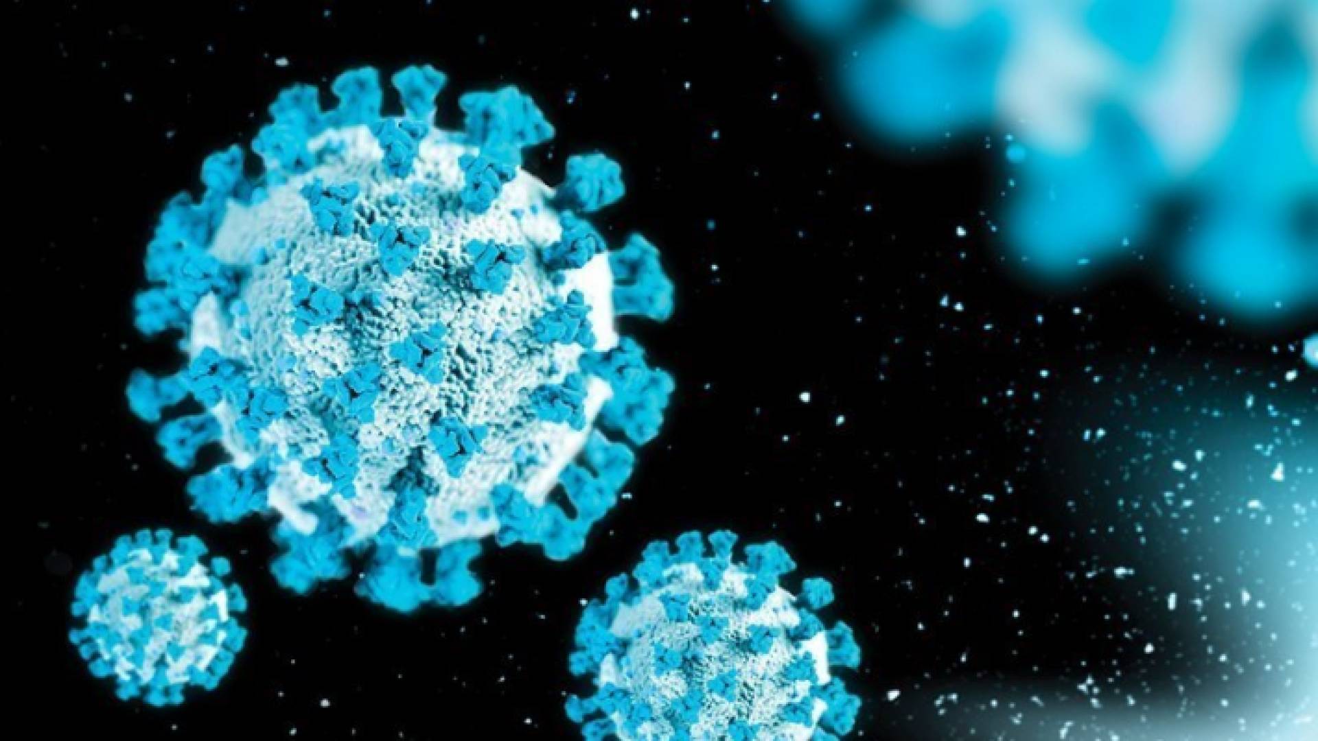 صورة مجهرية لفيروس كورونا