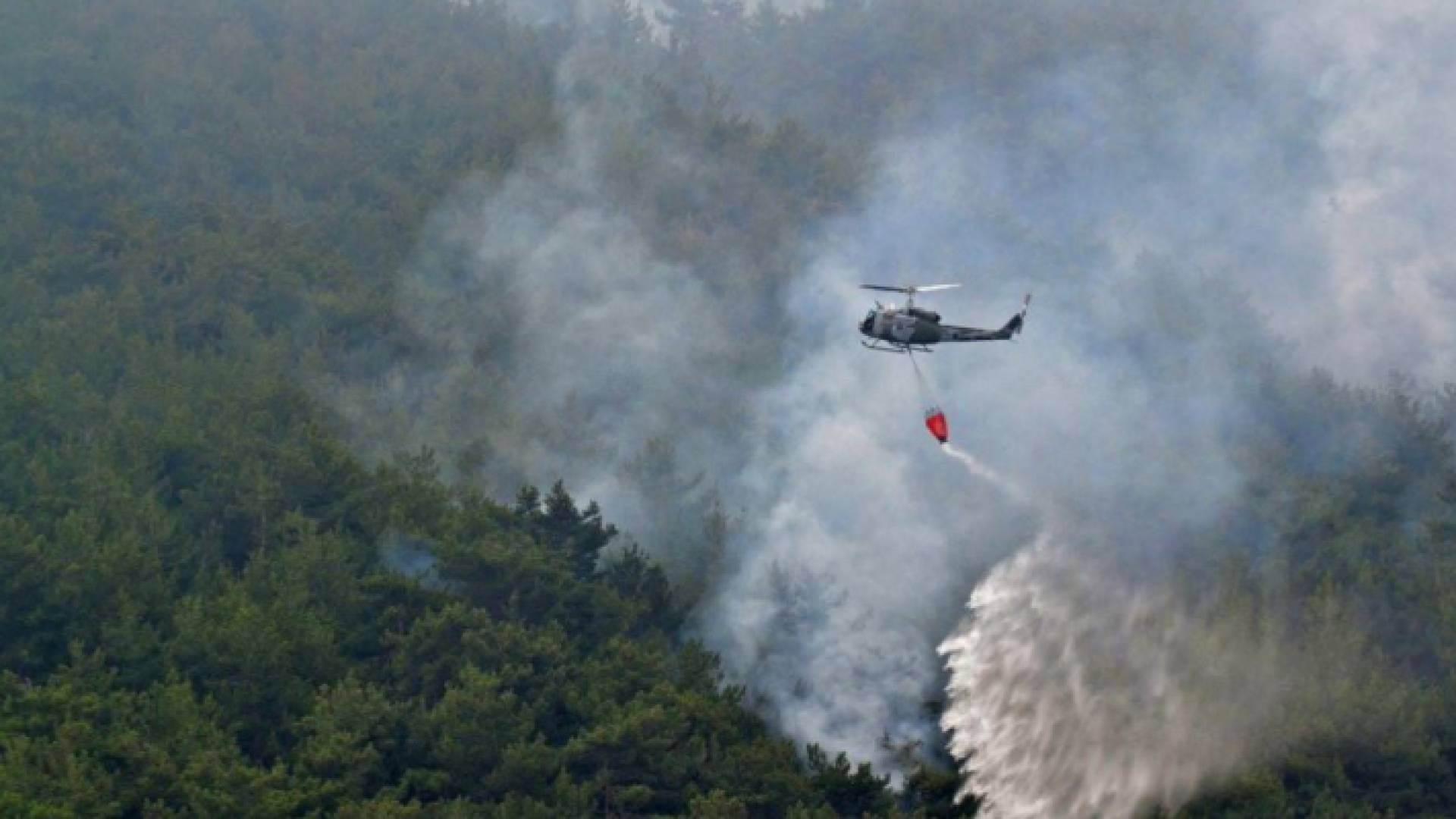 طائرة تخمد حريق غابة