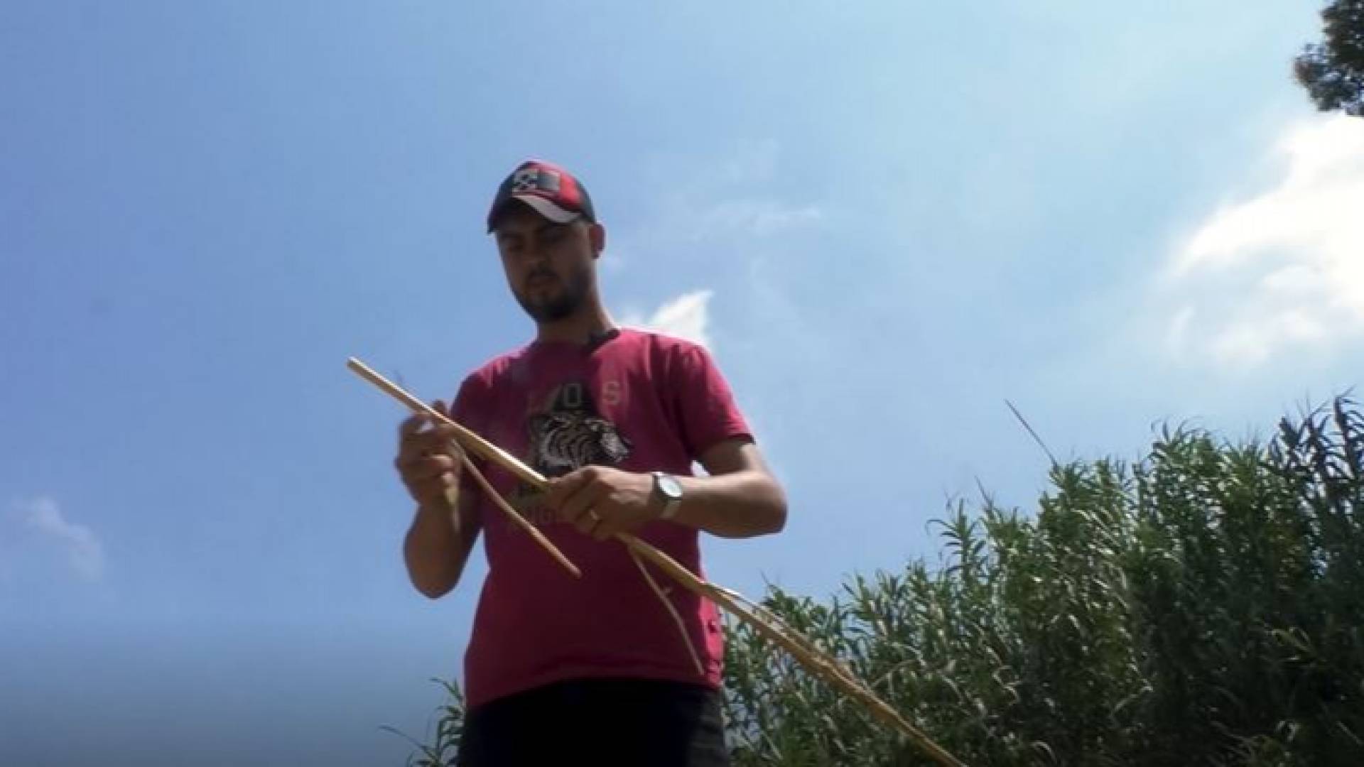 الشاب الفلسطيني محمد حميدة أثناء جمع القصب