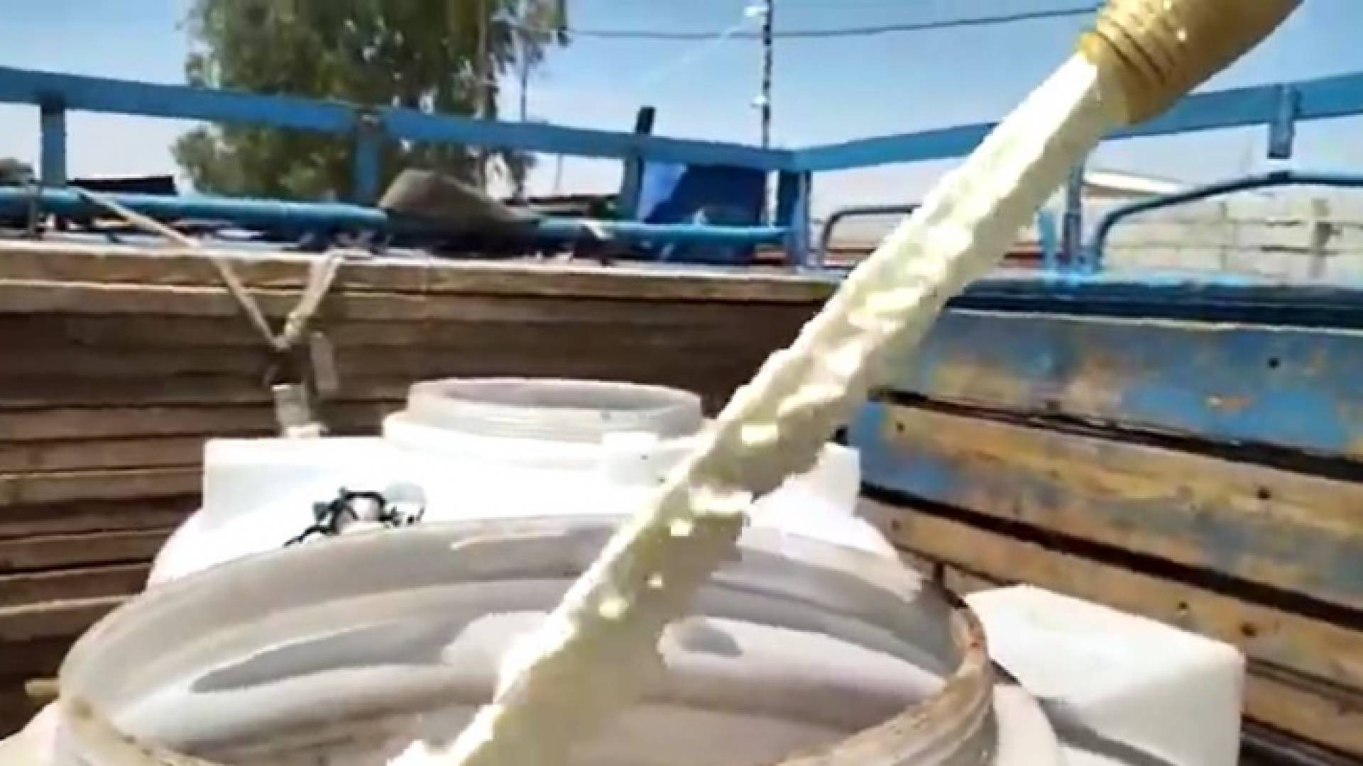 اتلاف حليب في المفرق