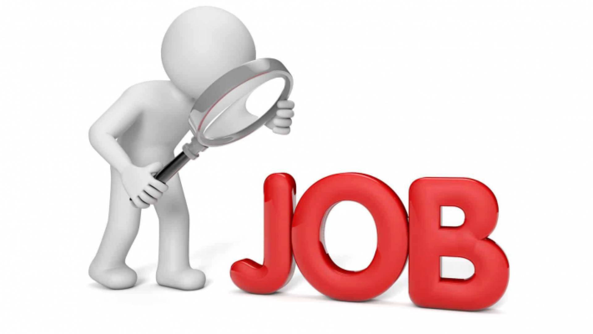 صورة تعبيرية للبحث عن وظيفة