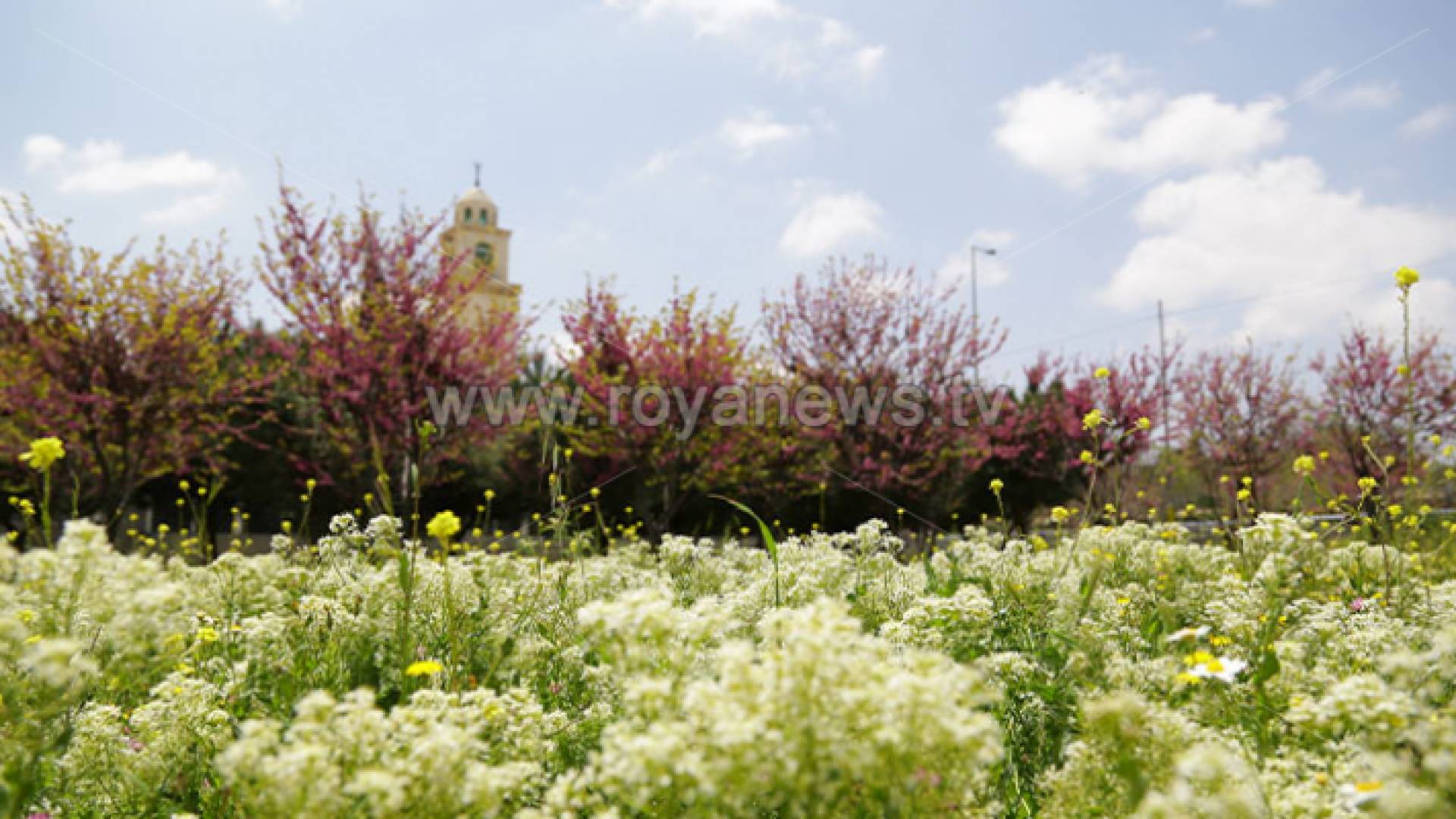 العاصمة عمان